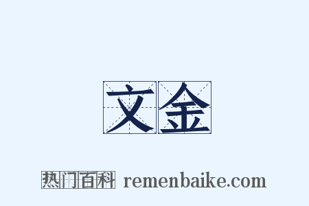 文金是什么意思的图片